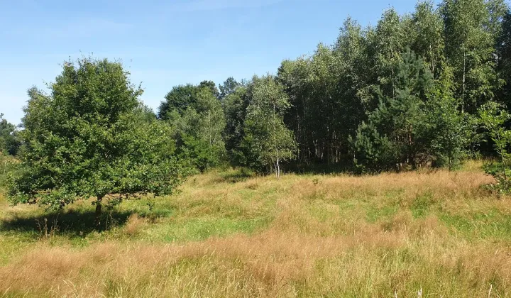 Działka budowlana Czarna Dąbrówka, ul. Brzozowa