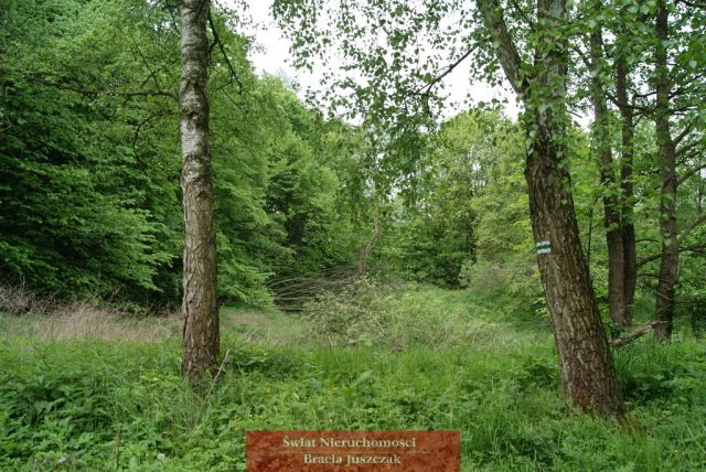 Działka budowlana Romanów. Zdjęcie 6