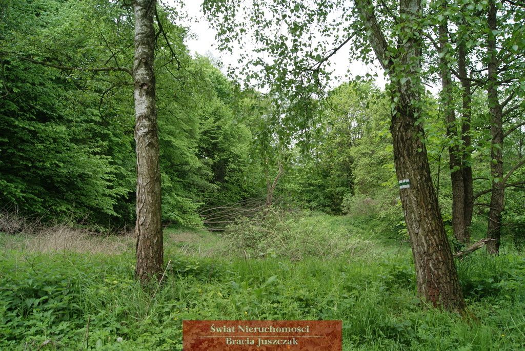 Działka budowlana Romanów. Zdjęcie 6