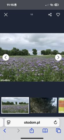 Działka rolno-budowlana Janowice. Zdjęcie 6