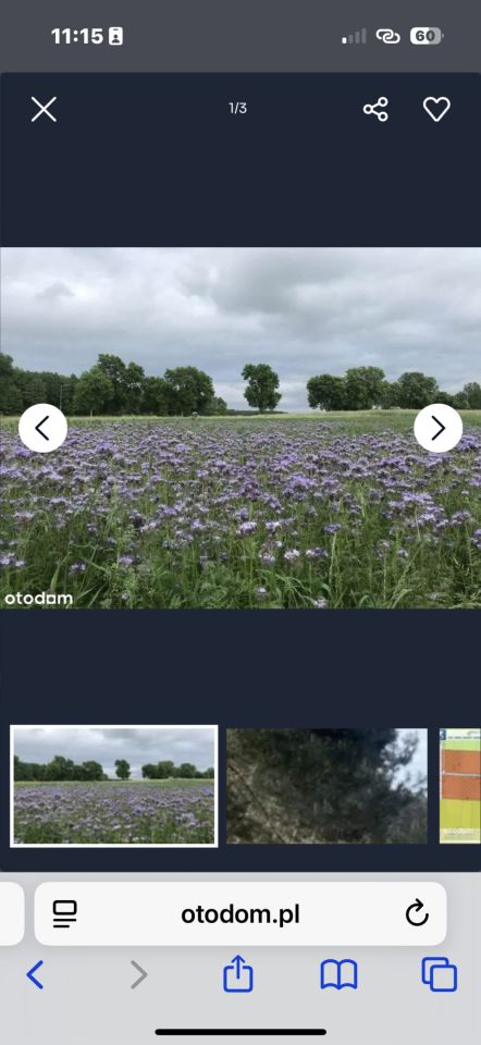 Działka rolno-budowlana Janowice. Zdjęcie 6