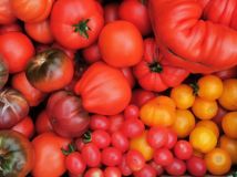 Działka rod Sopot Sopot Górny, ul. Mikołaja Reja. Zdjęcie 3