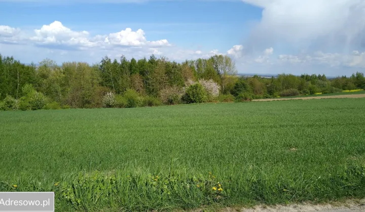 Działka rolno-budowlana Tuligłowy
