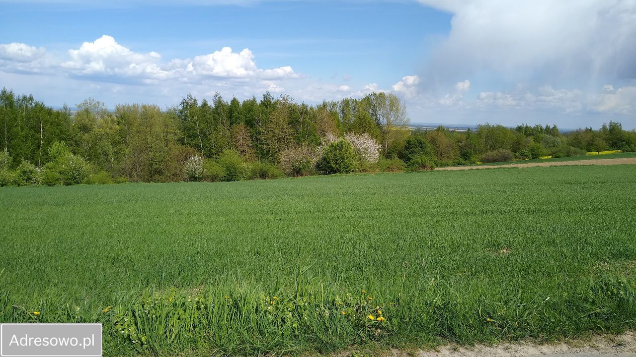 Działka rolno-budowlana Tuligłowy