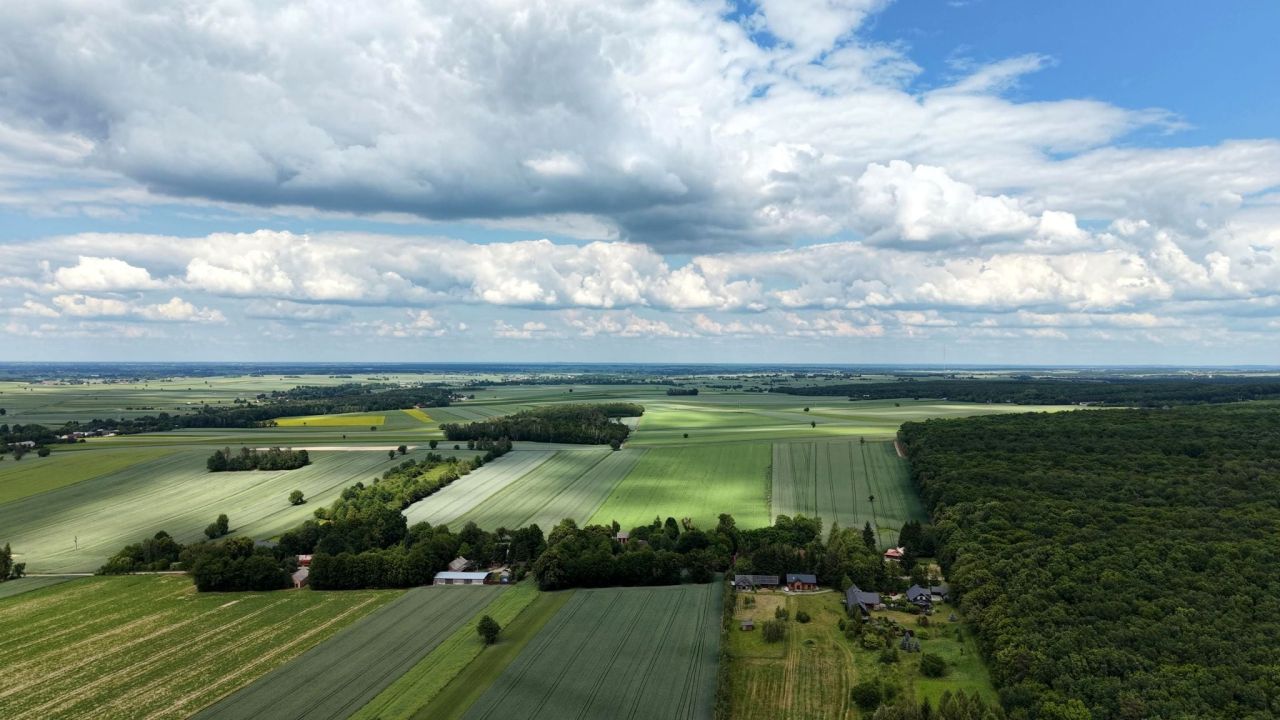 siedlisko Wolnica. Zdjęcie 13
