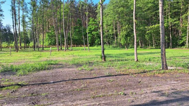 Działka budowlana Trzebiegoszcz. Zdjęcie 1