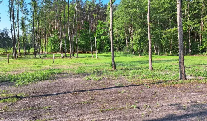 Działka budowlana Trzebiegoszcz