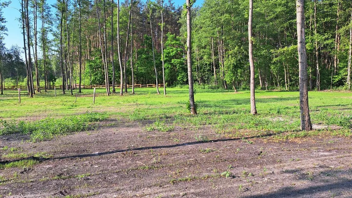 Działka budowlana Trzebiegoszcz. Zdjęcie 1