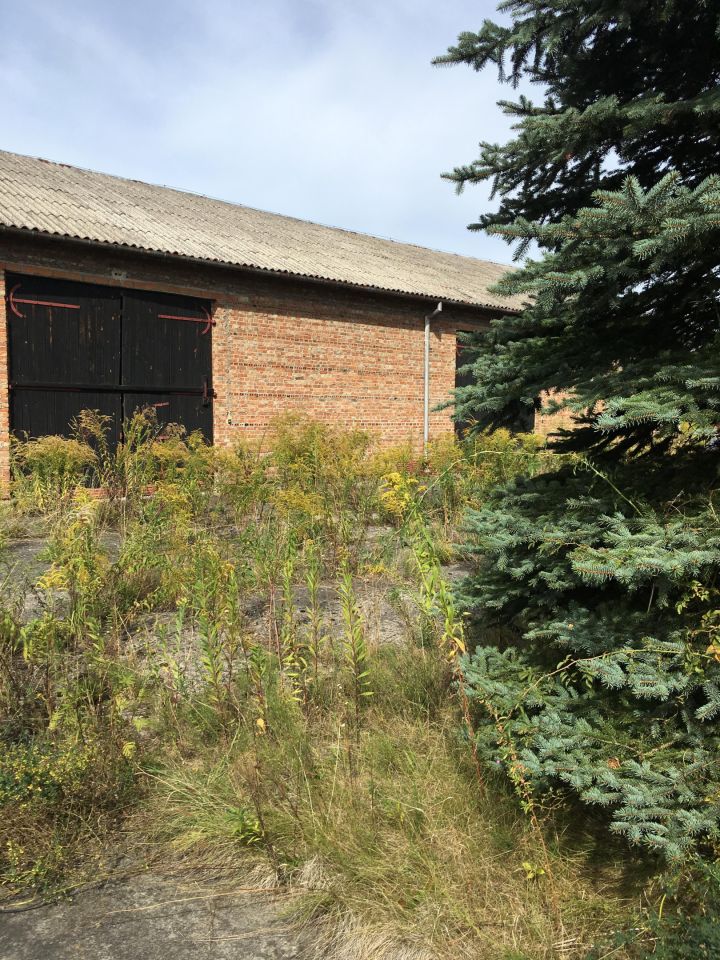 Działka budowlana Gołków Gołków-Cegielnia, ul. Gołkowska. Zdjęcie 13