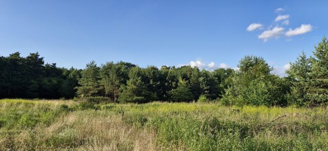 Działka budowlana Kędzierzyn-Koźle Kłodnica, ul. Czeremchowa. Zdjęcie 1