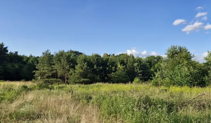 Działka budowlana Kędzierzyn-Koźle Kłodnica, ul. Czeremchowa