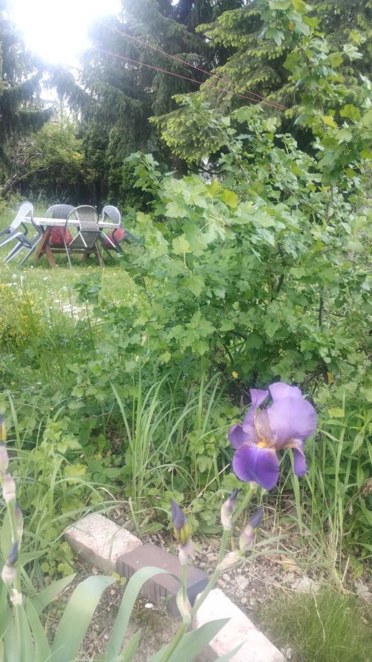 Mieszkanie 1-pokojowe Łódź Stoki, ul. Powstańców Śląskich. Zdjęcie 8