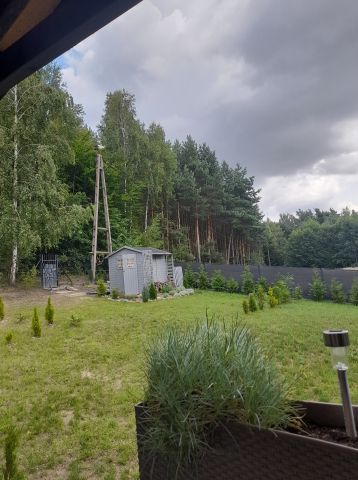 Działka rekreacyjna Morawy Albertowo. Zdjęcie 1