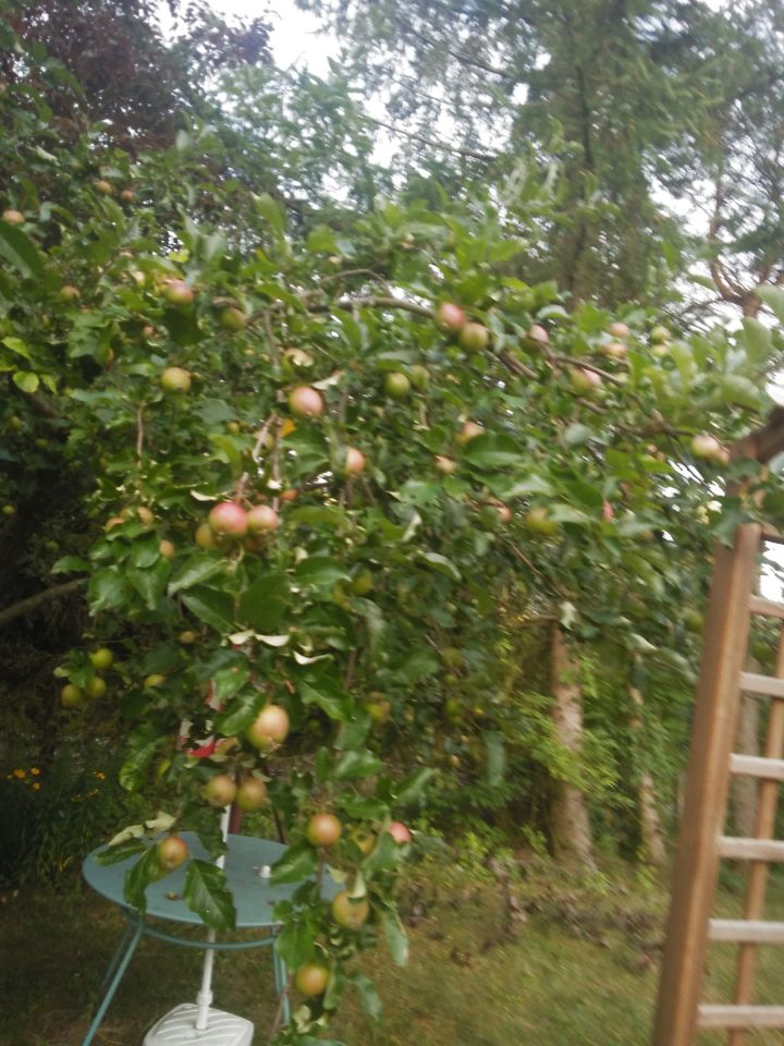 dom wolnostojący, 6 pokoi Skorzewo. Zdjęcie 22