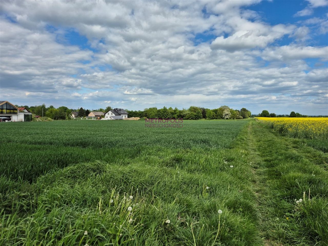 Działka Gliwice Bojków. Zdjęcie 2