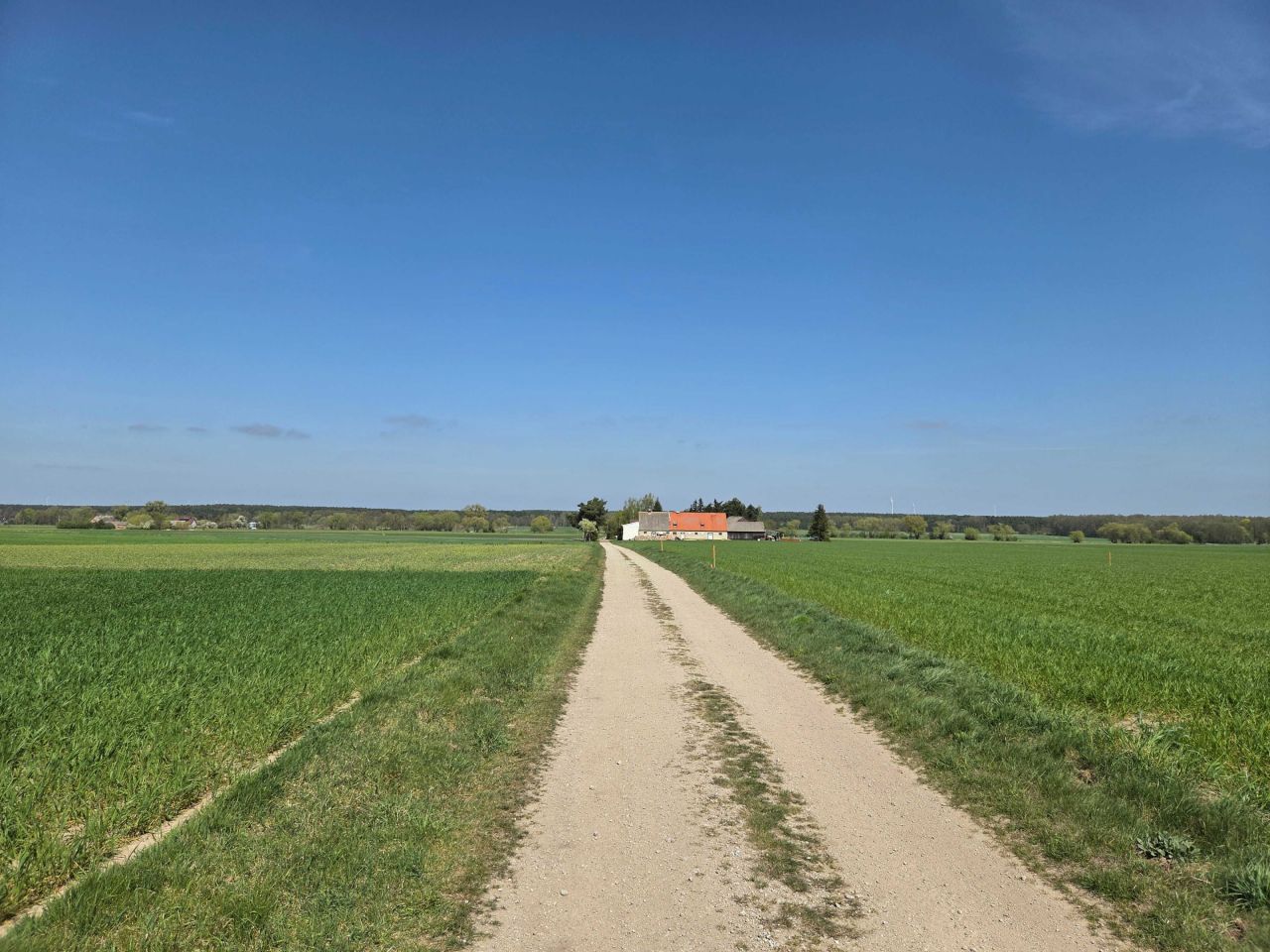 Działka budowlana Studzieniec. Zdjęcie 2