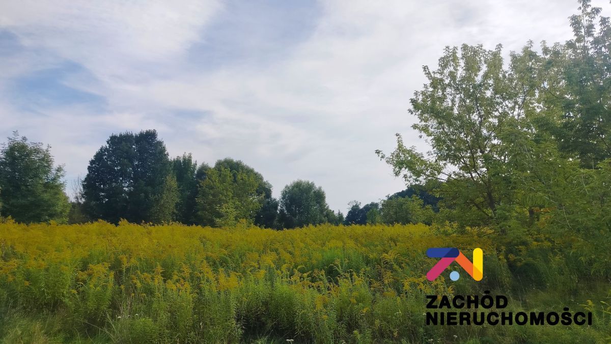 Działka rolno-budowlana Zabór, ul. Lipowa. Zdjęcie 4