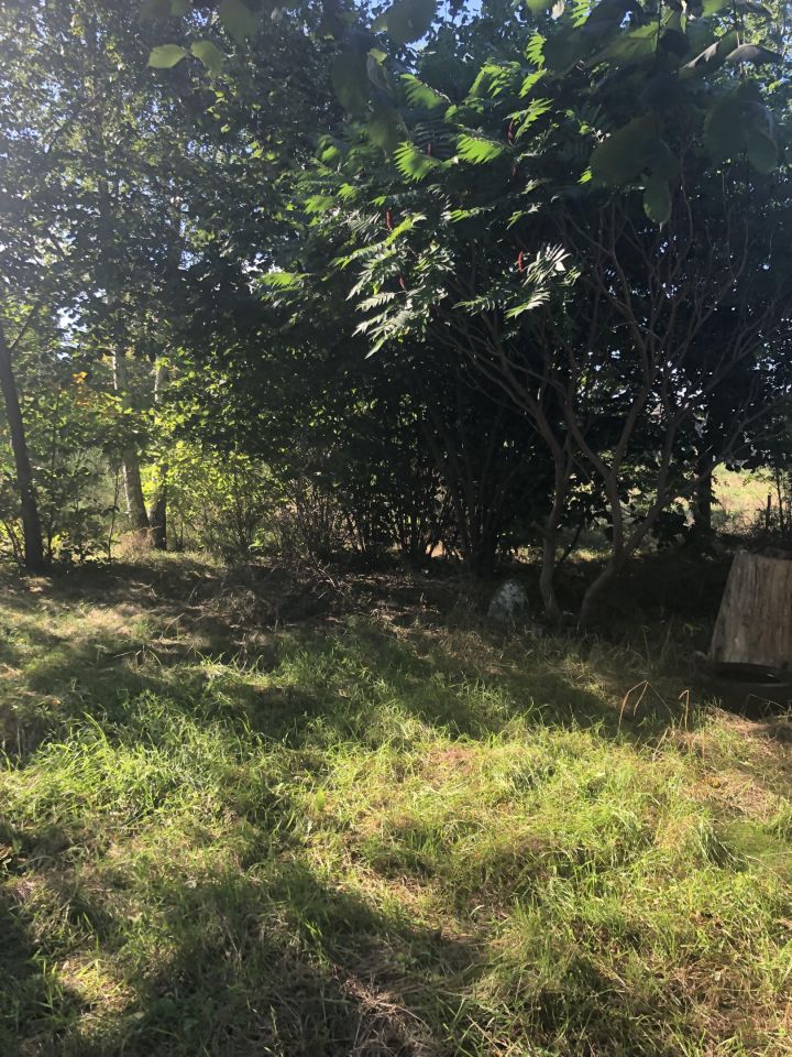 Działka rolno-budowlana Brzozówka Zakącie. Zdjęcie 5