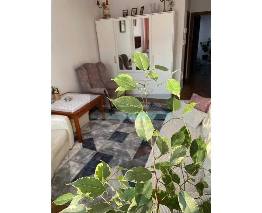 Mieszkanie 3-pokojowe Warszawa Targówek, ul. Toruńska. Zdjęcie 4