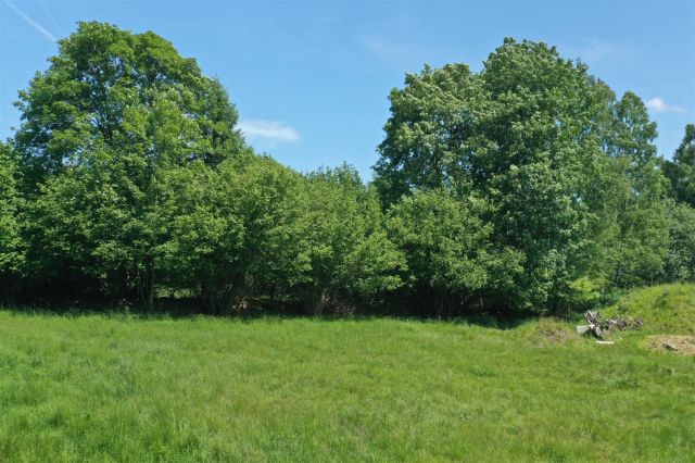 Działka inwestycyjna Szklarska Poręba Szklarska Poręba Górna, ul. Mikołaja Kopernika. Zdjęcie 9