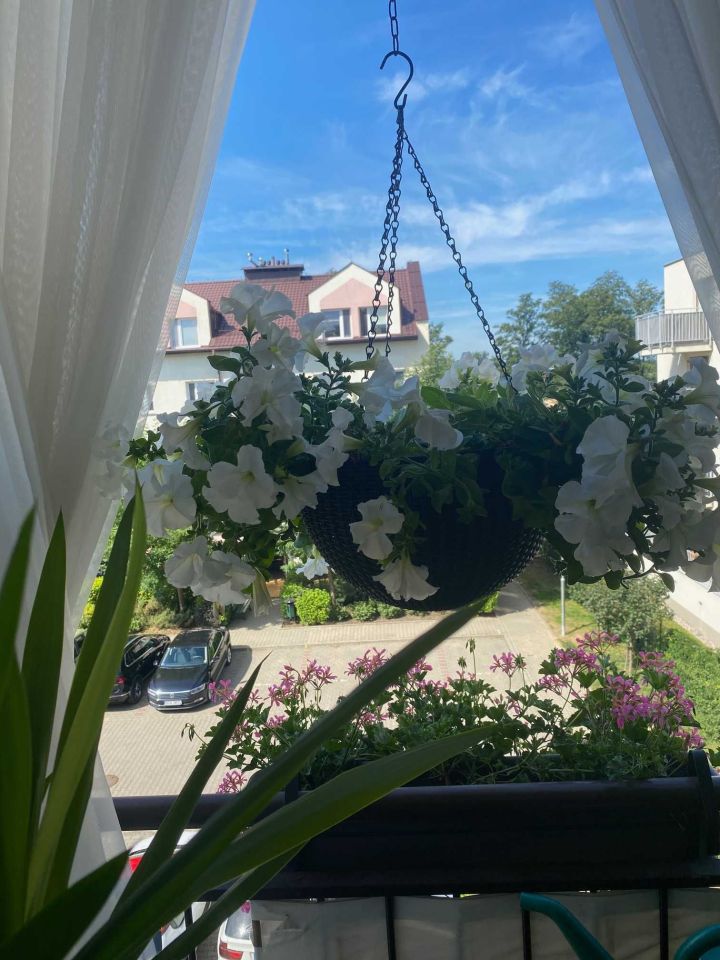 Mieszkanie 2-pokojowe Warszawa Białołęka, ul. Skarbka z Gór. Zdjęcie 7