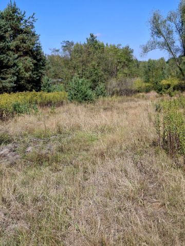 Działka budowlana Regut, ul. Wiatraczna. Zdjęcie 1