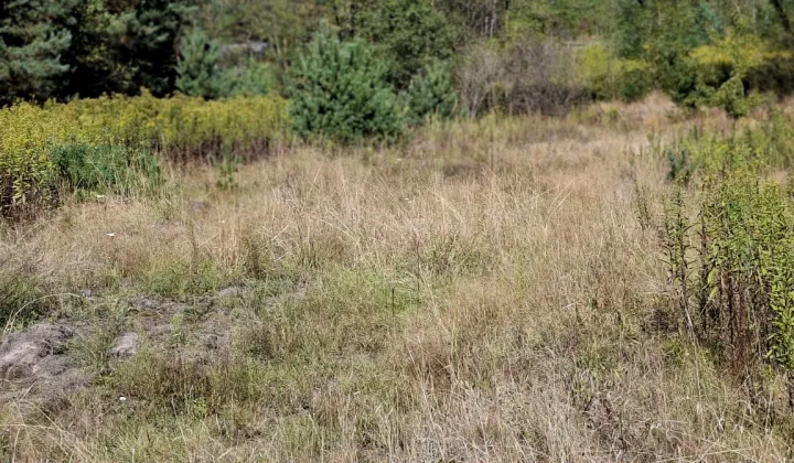 Działka budowlana Regut, ul. Wiatraczna