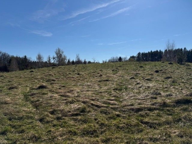 Działka rekreacyjna Stary Gieląd. Zdjęcie 10