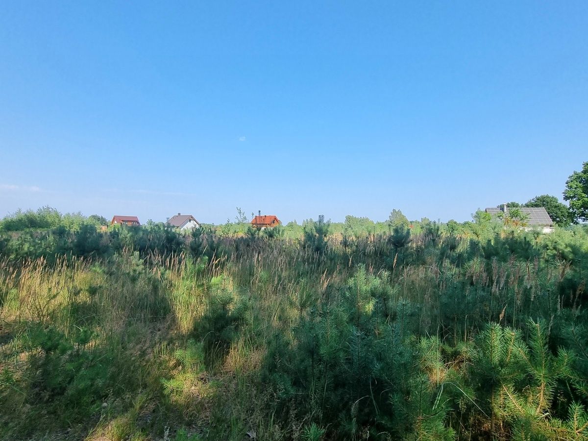 Działka budowlana Bagno. Zdjęcie 14