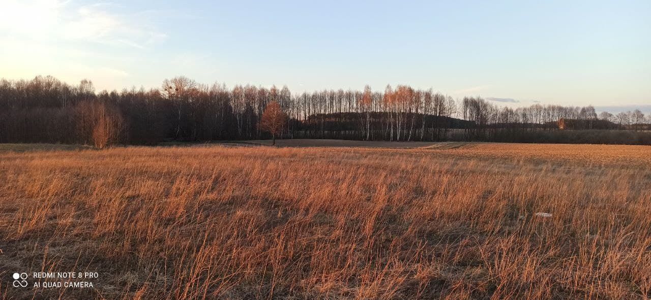 Działka budowlana Rybno, ul. Topolowa. Zdjęcie 5