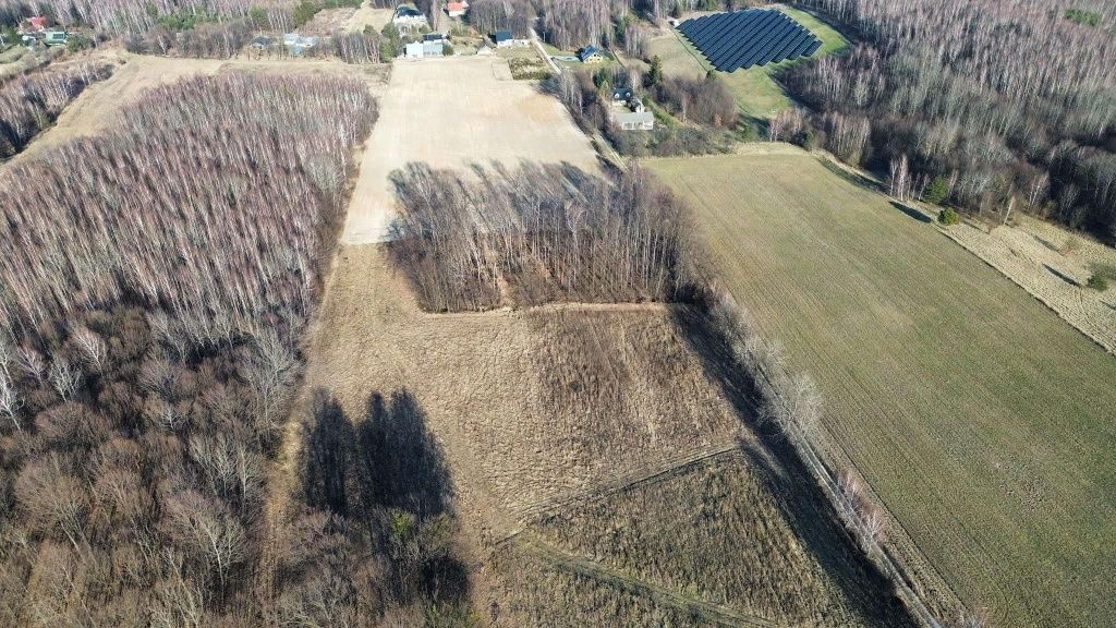 Działka budowlana Lipsko-Polesie. Zdjęcie 4