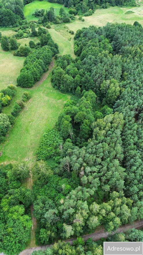 Działka rolna Strobów