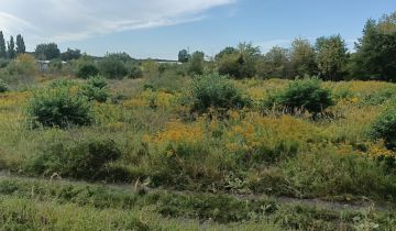 Działka rolna Police