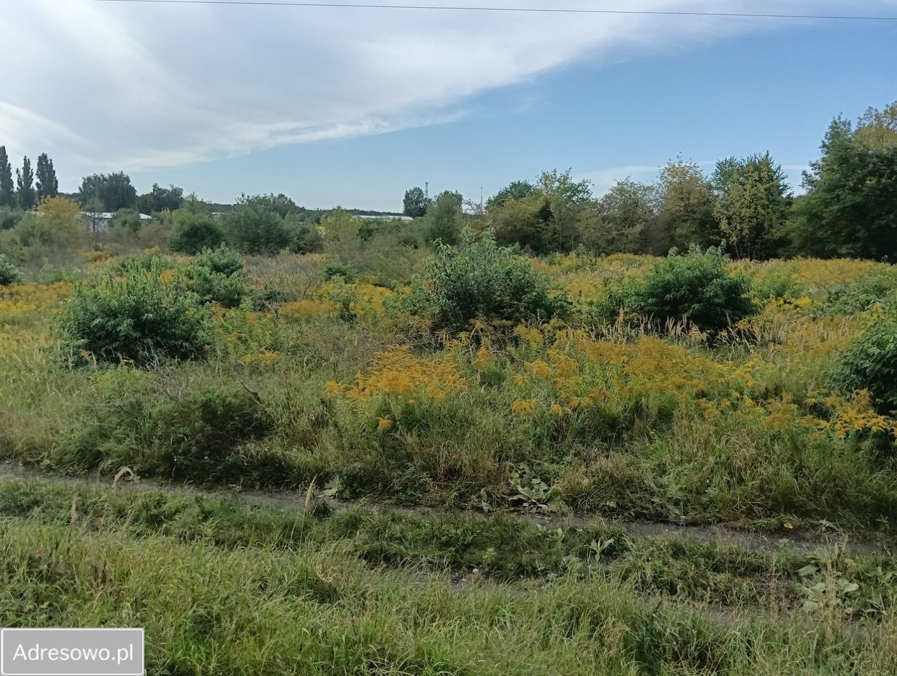 Działka rolna Police. Zdjęcie 2