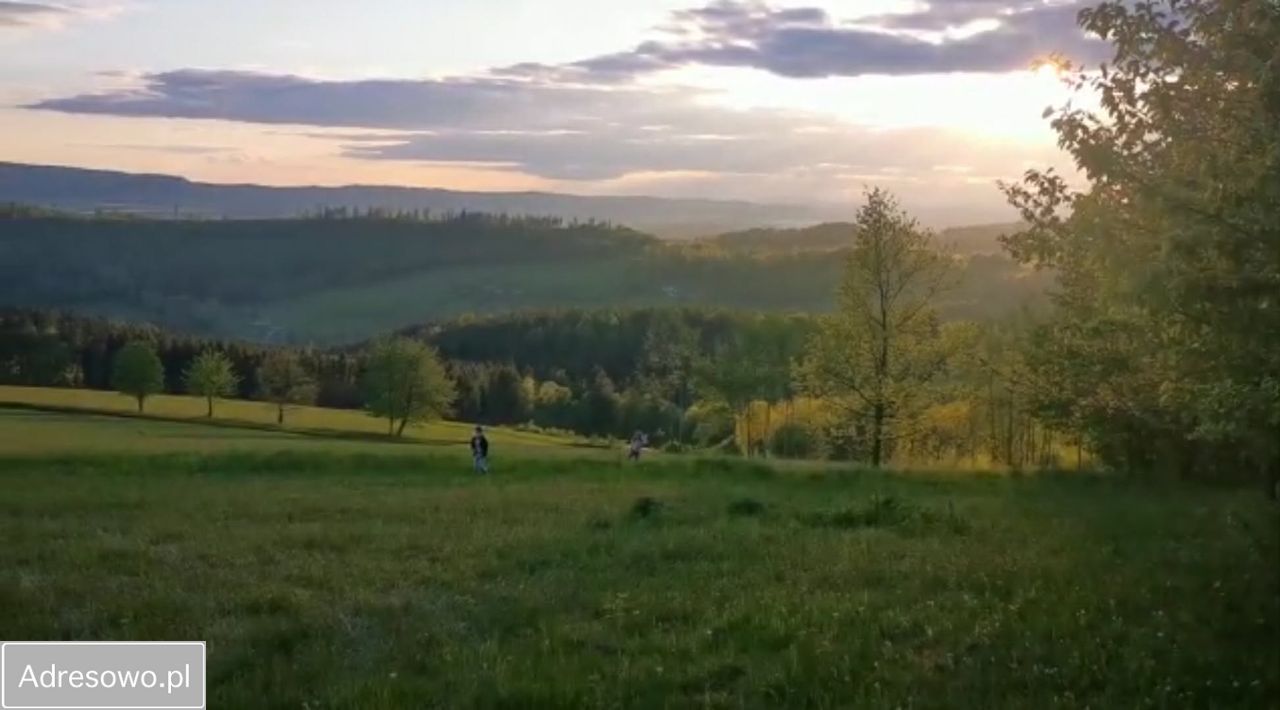 Działka budowlana Bieganów. Zdjęcie 7