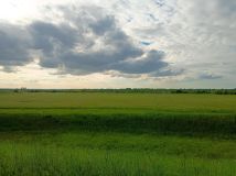 Działka rolna Nowa Cerkiew, -. Zdjęcie 1