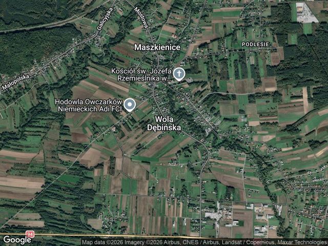 Działka rekreacyjna Wola Dębińska. Zdjęcie 1