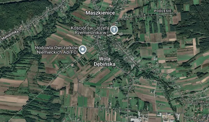 Działka rekreacyjna Wola Dębińska