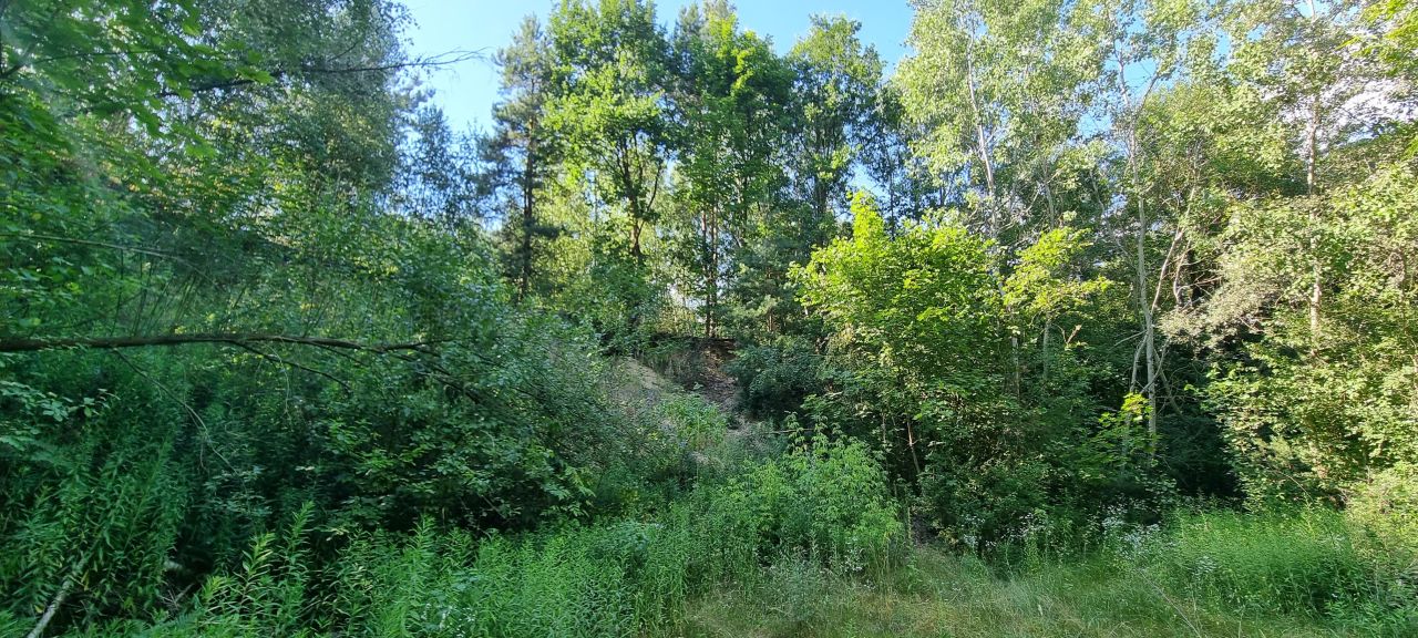 Działka rolna Kowala. Zdjęcie 6