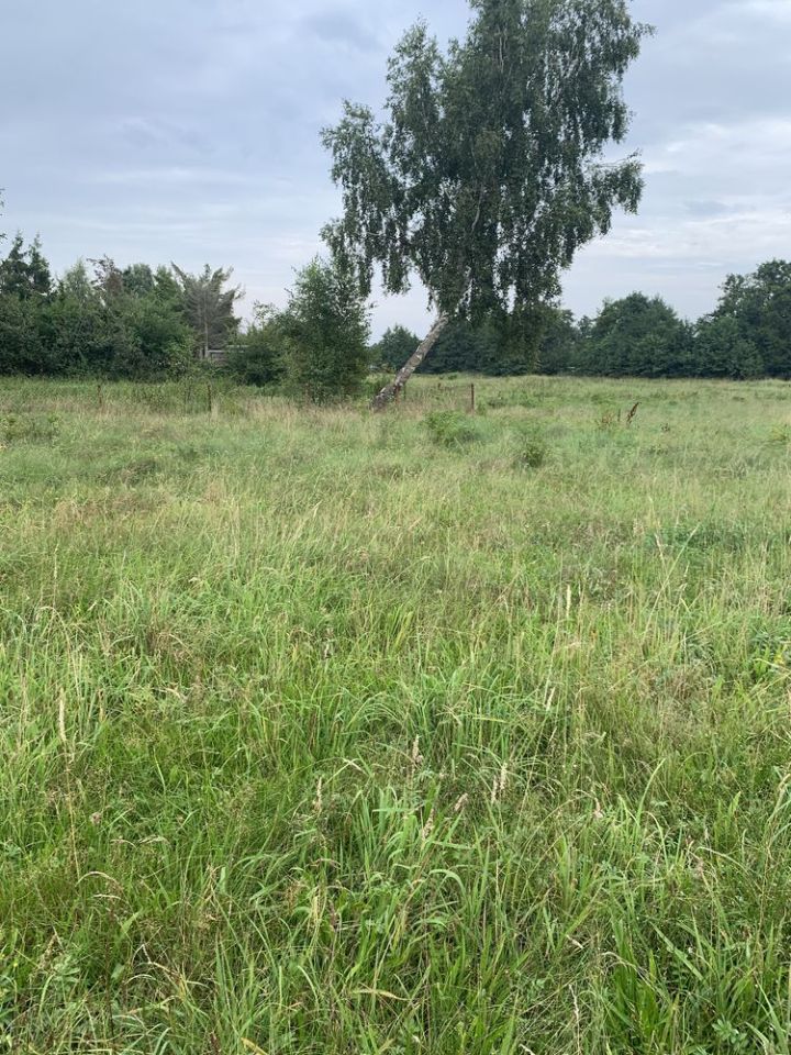 Działka rolna Karwieńskie Błoto Drugie. Zdjęcie 3