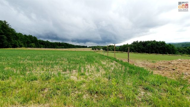 Działka rolna Grzegorzówka. Zdjęcie 9