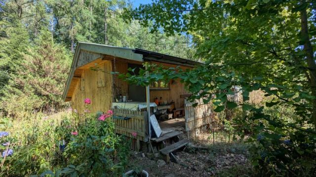 Działka rolna Chojnów. Zdjęcie 1