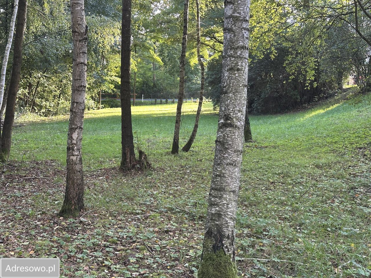 Działka budowlana Biedrzychowice Dolne. Zdjęcie 10