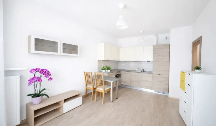 Mieszkanie 2-pokojowe Warszawa Żoliborz, ul. Kaliny Jędrusik