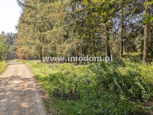 Działka rolna Ozorowice. Zdjęcie 2