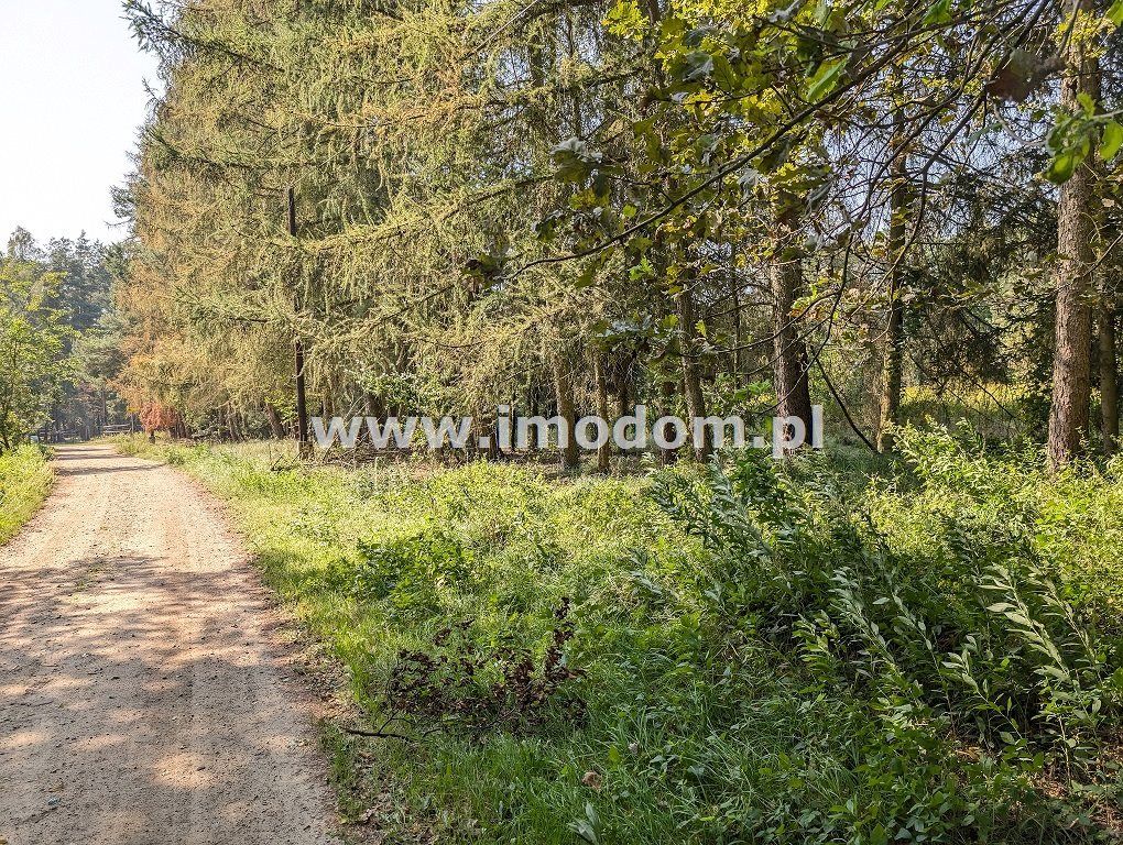 Działka rolna Ozorowice. Zdjęcie 2