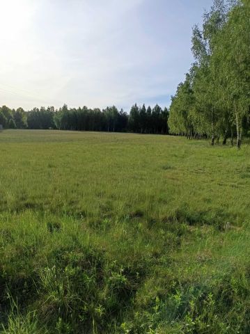 Działka rolno-budowlana Sypniewo. Zdjęcie 1