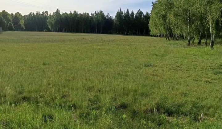 Działka rolno-budowlana Sypniewo