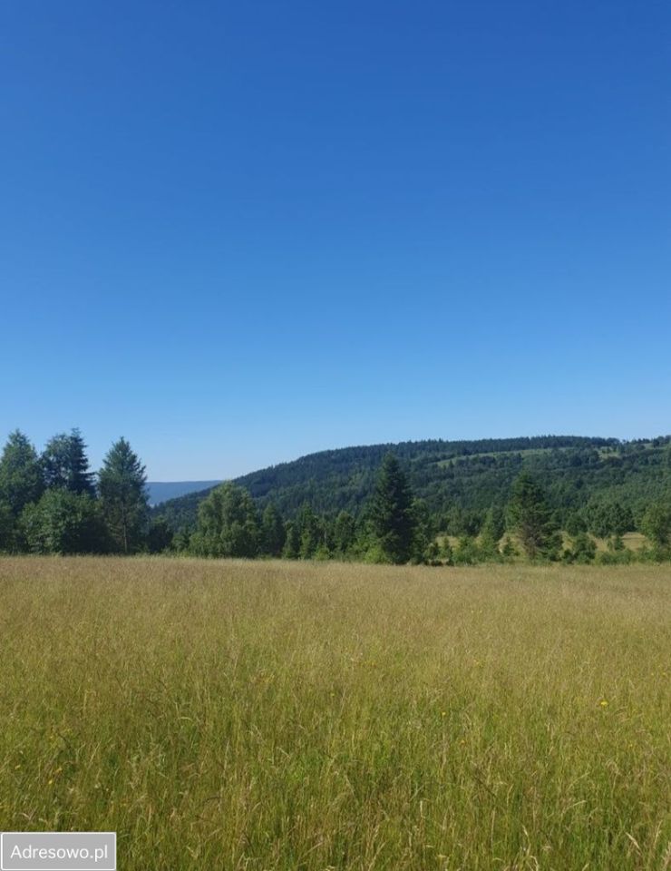 Działka budowlana Jodłów. Zdjęcie 3