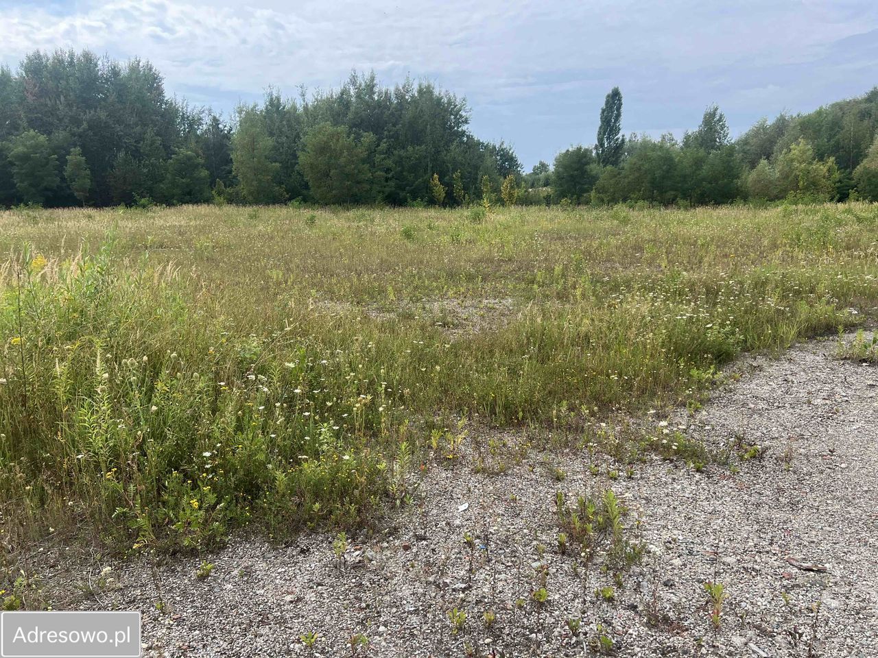 Działka inwestycyjna Tychy, ul. Składowa. Zdjęcie 3